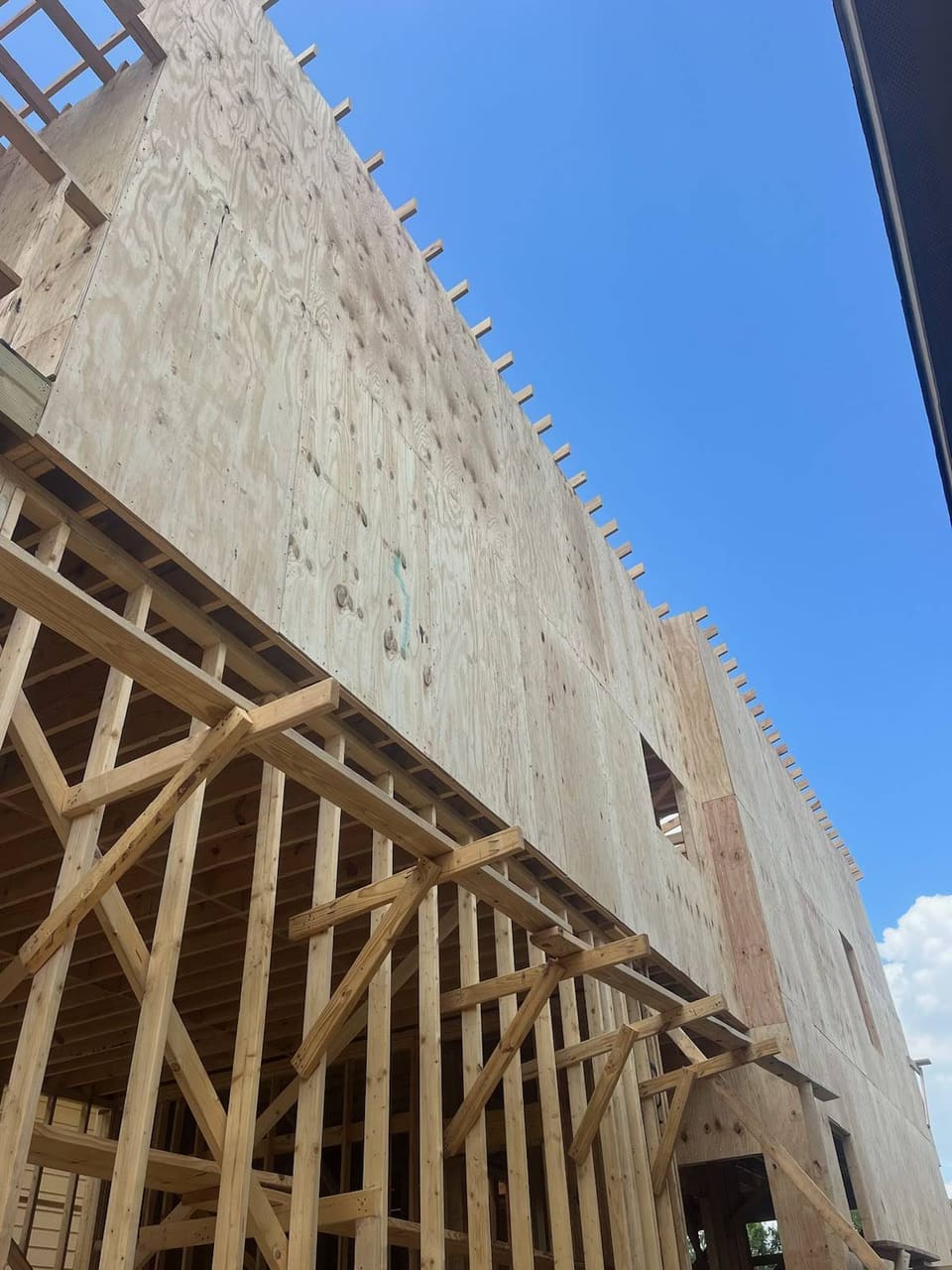 Development 01 — site photograph 6