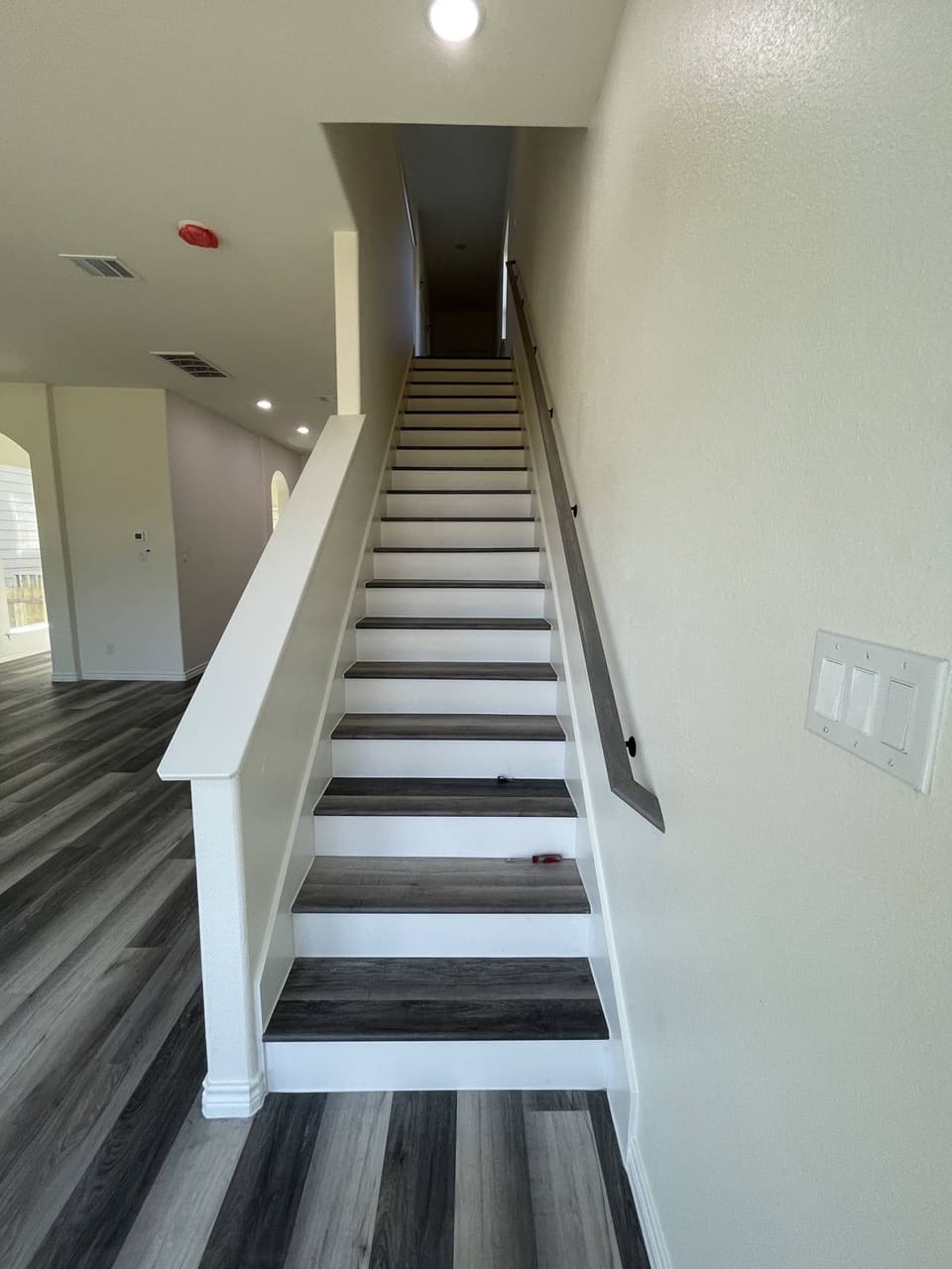 Development 01 — site photograph 15